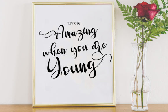 Seronita Font