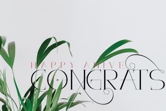 Aloe Vera Font