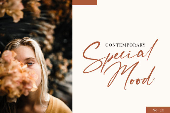 Belmonth Font