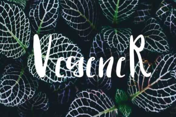 Vegener Font