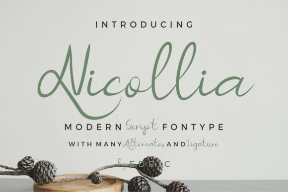 Nicollia Font