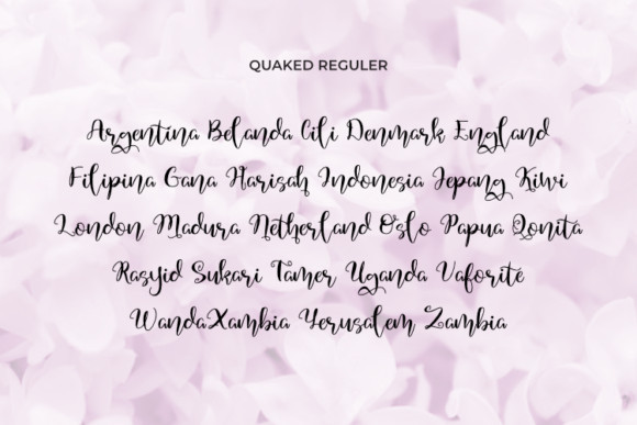 Quaked Font