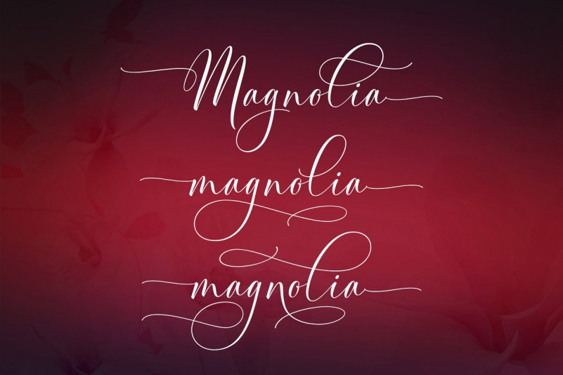 Magnolia Modern Font Magnolia Modern Font