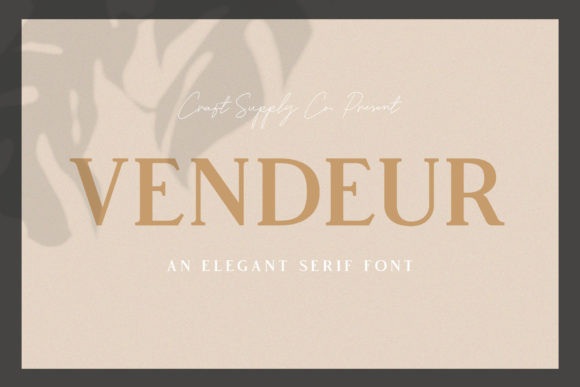 Vendeur Font