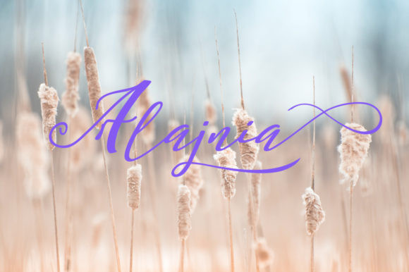 Amayda Font