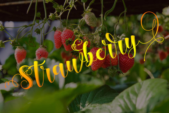 Chimahy Regular Font