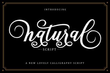 Natural Script Font