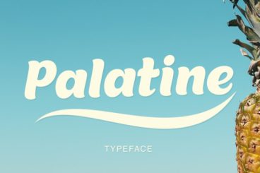 8 Charming Fonts