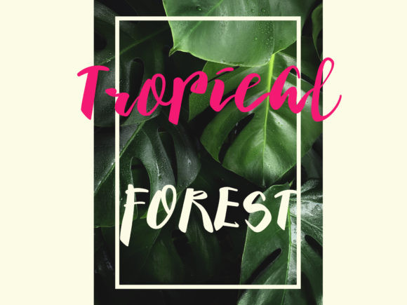 Barokatt Font