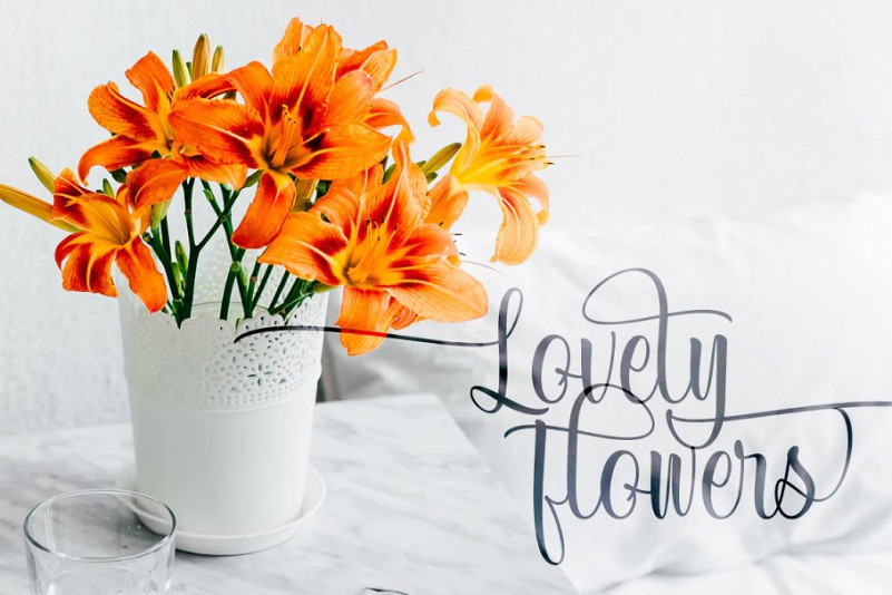 Bridgette Font