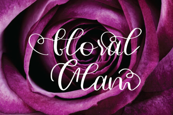 Asya Font Asya Font
