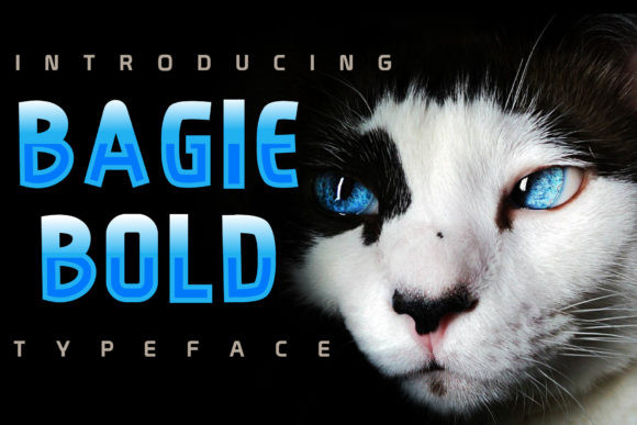 Bagie Bold Font