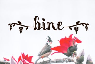Bine Font