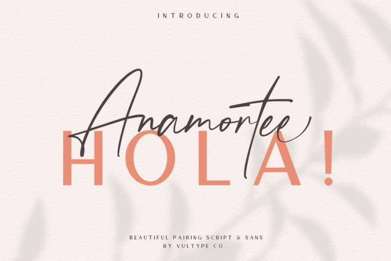 Anamortee Font Ifonts Xyz