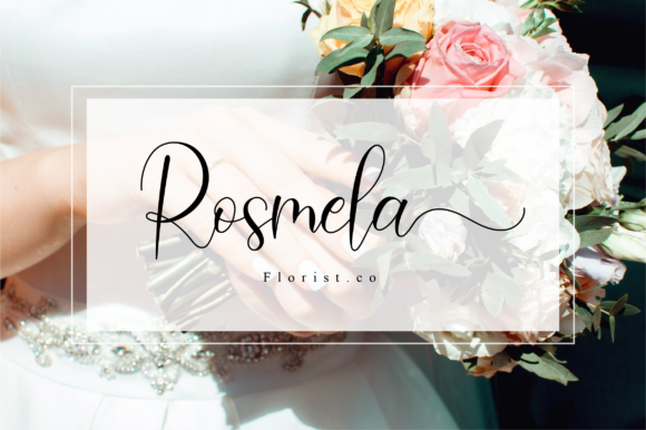 Amadea Font