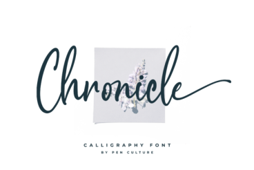 Chronicle Font