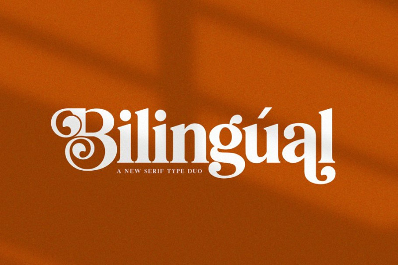 Bilingual Font - Free Font
