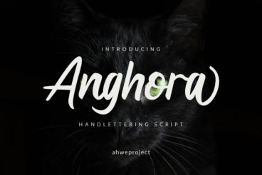 Anghora Font