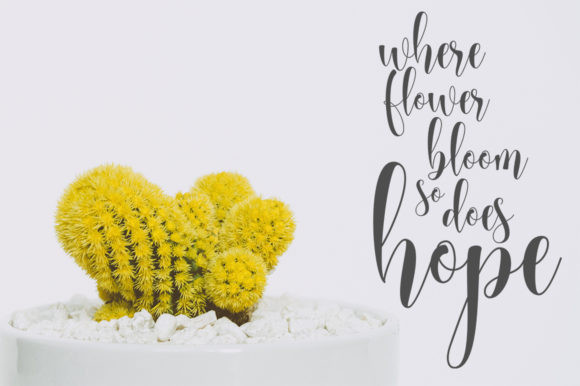 Babylove Font