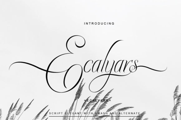 Ecalyars Font