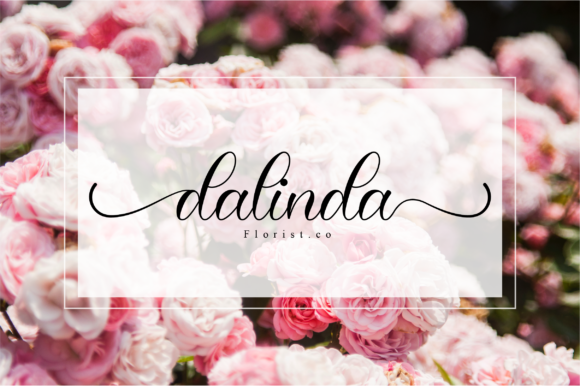 Junitta Font