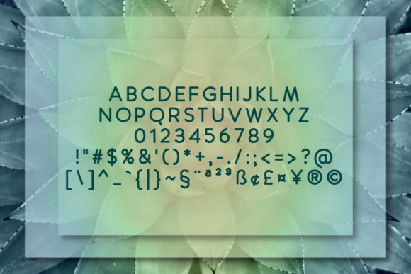 Manolo Font