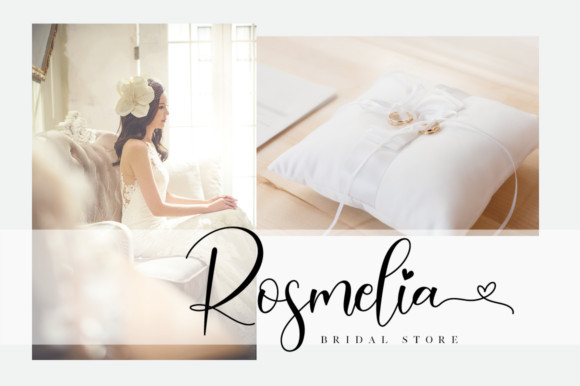 Paisley Font