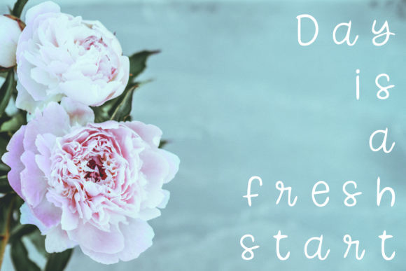 Peony Font