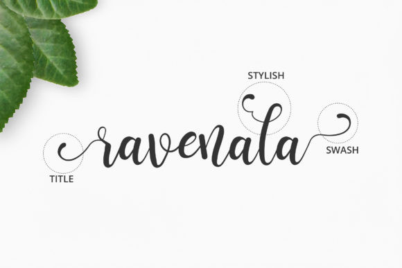 Ravenala Font