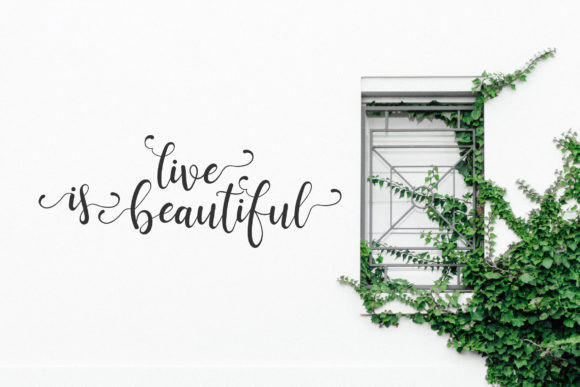 Ravenala Font
