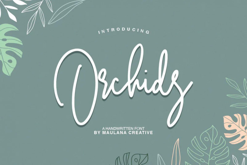 Orchids Font - iFonts.xyz