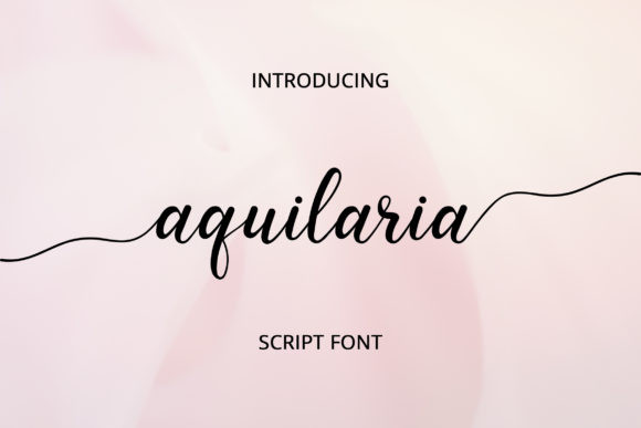 Aquilaria Font Aquilaria Font