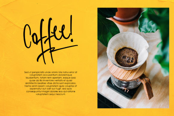 Sophisticated Font