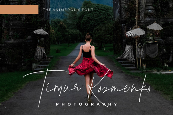 The Animepolis Font