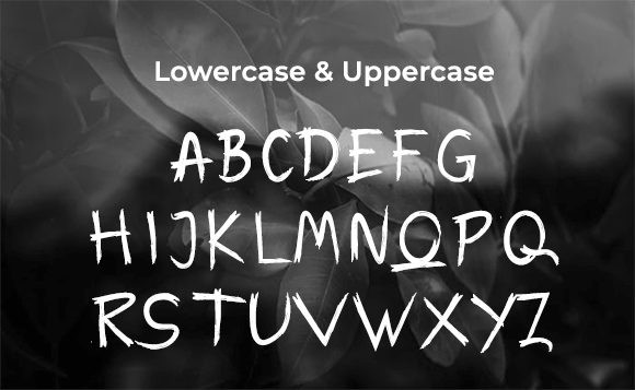 Warox Font