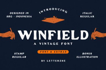 Winfield Font