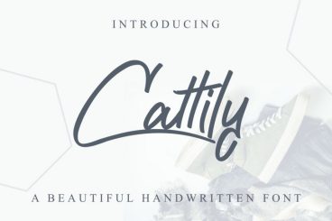 Cattily Font