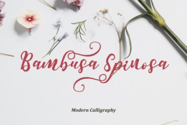 Bambusa Spinosa Font
