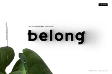 Belong Font