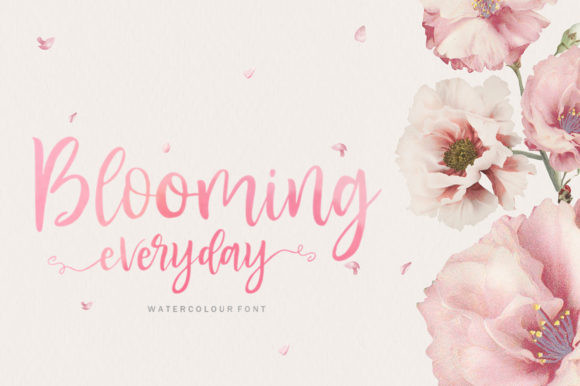 Blusher Font