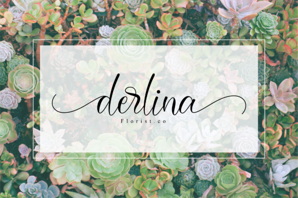 Darcella Font