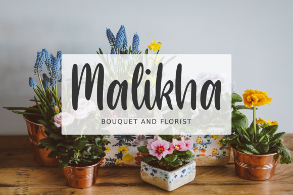 Hasley Bellion Font