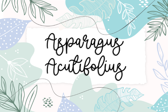 Madelief Font