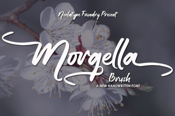 Morgella Font