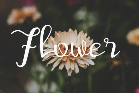 Shurtiey Font