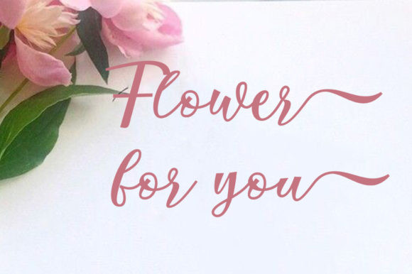 Stepira Font