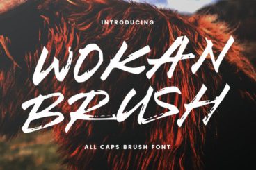 Wokan Font