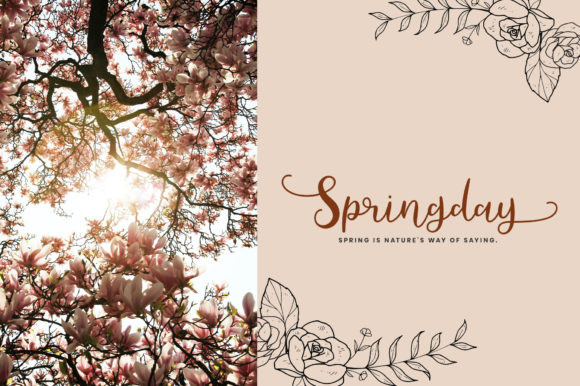 Anguela Font