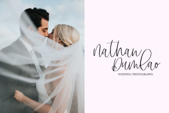 Apricot Camelia Font