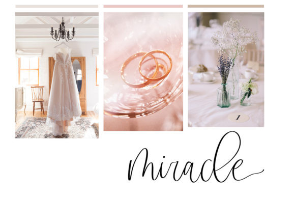 Apricot Camelia Font